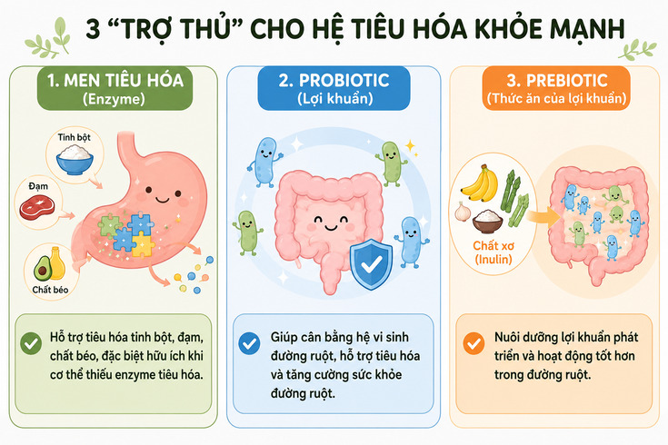 Ophan-biet-men-tieu-hoa-probiotic-prebiotic-1.jpg